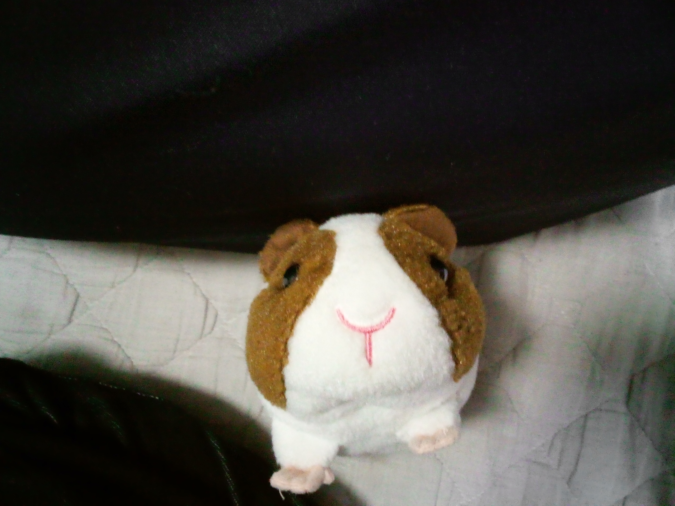 hamu